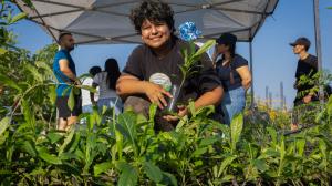 Individual amongst potted plants used for restoration projects