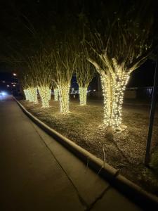 Pathway and landscape lighting can extend a display beyond the roofline.