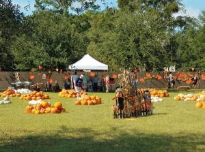Autoland Supports Free Community Pumpkin Patch and Fall Festival in Jacksonville