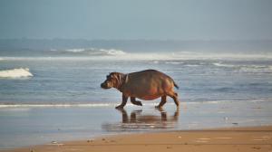 Go2Africa Laongo National Park Hipo