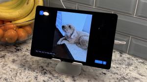 JoyTablet in Photo Gallery mode