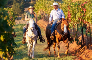One man and one woman riding on the backs of two horses riding through vineyards