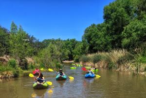 Multiple peopl in the verde river on a selection of kayaks & tubes enjoying the water