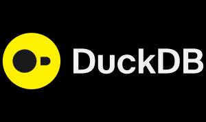 DuckDB logo
