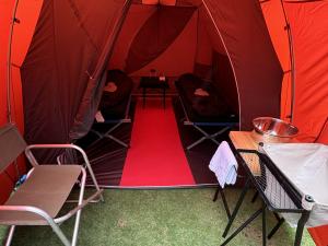 Luxury Camp on Kilimanjaro with True Summit Adventures
