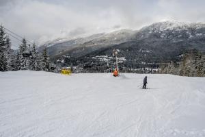 Skiing in Whistler on a beautiful day