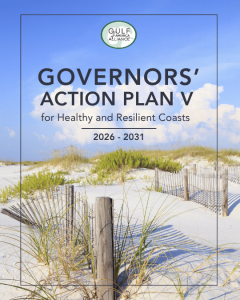 Cover of the Governors' Action Plan V