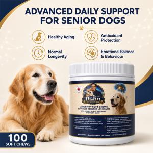 Advanced Daily Support for Senior Dogs