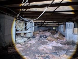 Crawlspace Inspection