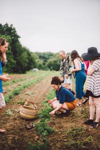 Several people stand along a row of feathery green plants in an overcast field while one person crouches beside the plants, a woven basket nearby.
