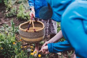 A hand holds a woven basket by its handle above a garden bed with small orange flowers while another person bends in from the right.