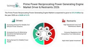 Prime Power Reciprocating Power Generating Engine Market share