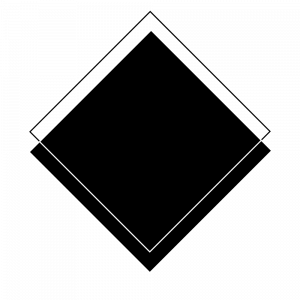 TwoSquares Logo