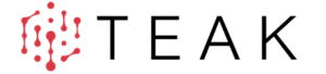 Teak-ip-services-logo