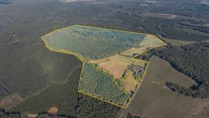 162± Acres with Timber Value, Road Frontage, Pond, Open & Wooded Land and Agricultural Zoning set for Auction Announces Nicholls Auction Marketing Group