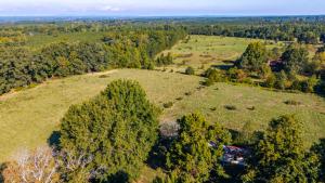 162± Acres with Timber Value, Road Frontage, Pond, Open & Wooded Land and Agricultural Zoning set for Auction Announces Nicholls Auction Marketing Group