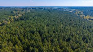 162± Acres with Timber Value, Road Frontage, Pond, Open & Wooded Land and Agricultural Zoning set for Auction Announces Nicholls Auction Marketing Group