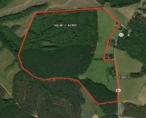 162± Acres with Timber Value, Road Frontage, Pond, Open & Wooded Land and Agricultural Zoning set for Auction Announces Nicholls Auction Marketing Group