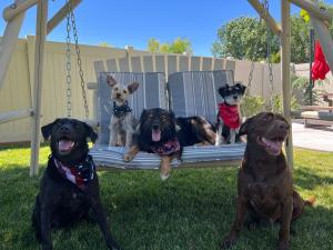 Best Dog Training Salt Lake City, UT