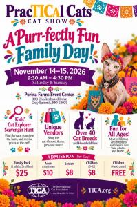 PracTICAl Cats Cat Show – A Purr-fectly Fun Family Day!