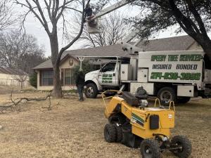 Speedy Tree Services bucket truck crew trimming a bare tree beside a home with a stump grinder in the foreground