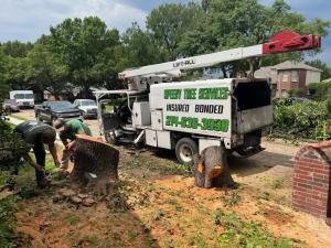 Tree service crew cutting a large tree stump next to a bucket truck
