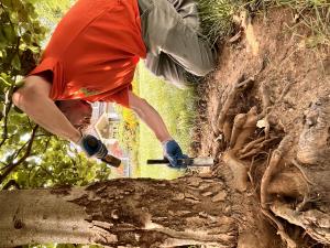 tree tech