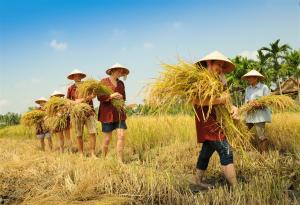 Vietnam Reise 2 Wochen