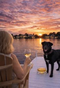 Journey, Hound & Harbor's Chief Tasting Hound, drinks Classic Cove from a bowl on a pier by the water with Tracy, Founder of Hound & Harbor