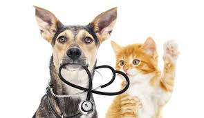 Mobile Pet Care Market Huge Demand