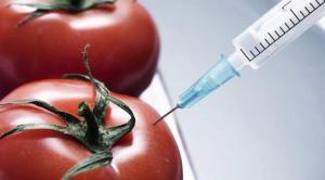 Food Nanotechnology Market