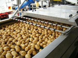 Potato Processing