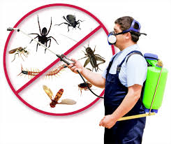 Home Insecticides Market