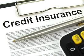 Credit Insurance Market