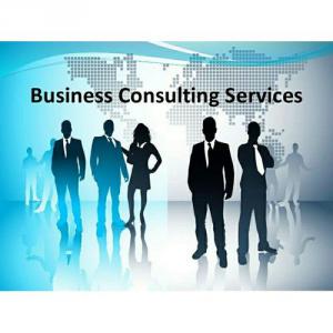 Business Consulting Services