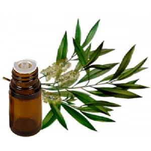 Tea Tree Oil