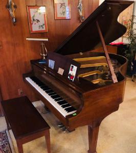 Steinway Piano Auction