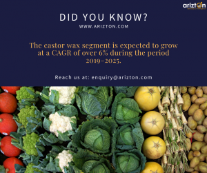 Vegetable Wax Market Size