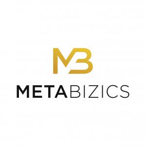 MetaBizics, LLC: Business Consulting Company: www.metabizics.com