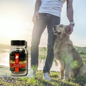 k9capsules 25mg CBD capsules for larger dogs