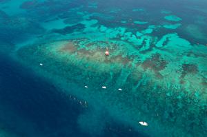 Boats at Carysfort Reef in the Florida Keys at Coralpalooza™ 2019