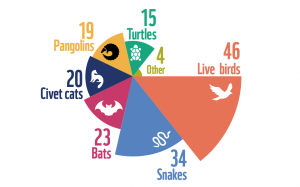 WWF Survey Chart