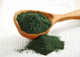 Algae Protein Market