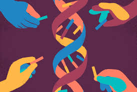 Direct to Consumer Genetic Testing Market