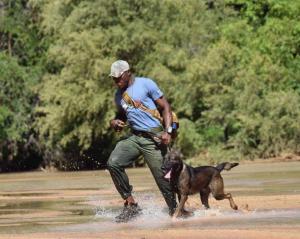 Soldiers For Wildlife partner with Dogs4Wildlife to add dogs to the team