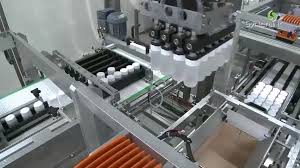 End of Line Packaging Market Share