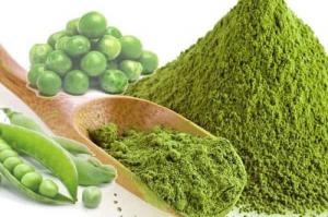 Pea Protein Market Size