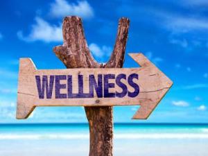 Wellness Tourism Market