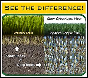 Ordinary grass grows fast above the soil so requires weekly  mowing and has very shallow roots to require more water, versus Pearl's Premium grows so slow requires only monthly mowing and with 4 foot roots needs 75% less water