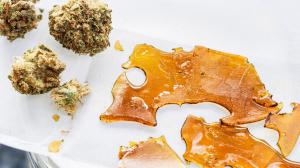 Cannabis Concentrate Market Size